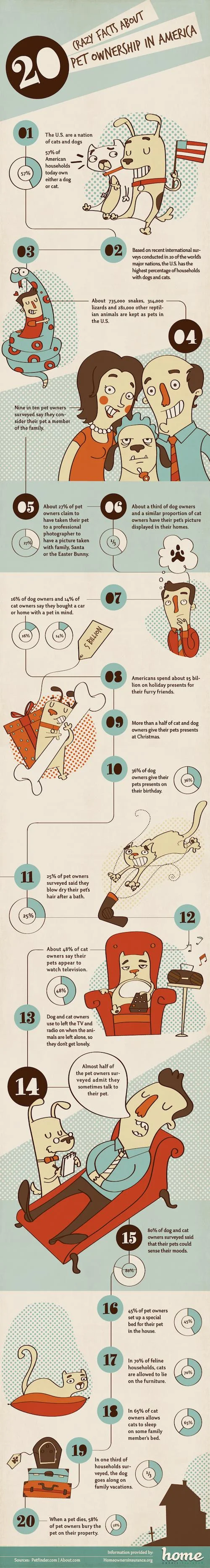 Pets Infographic - Facts About Pet Owners